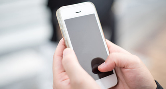 1,蜂の巣に関するご相談を受け付けます。