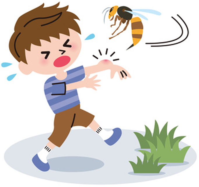 蜂に刺されるとどうなるの？