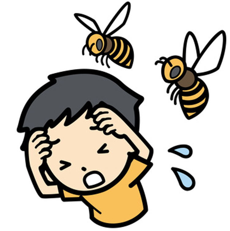 高い技術を持つ蜂退治の専門家が、確実・安全に蜂被害からあなたを守ります。